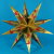 Origami Stern von Ralph Jones aus Kraftpapier